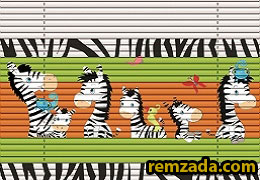 RSN67 - Cute Zebra 