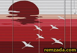 RSN05 - Về tổ
